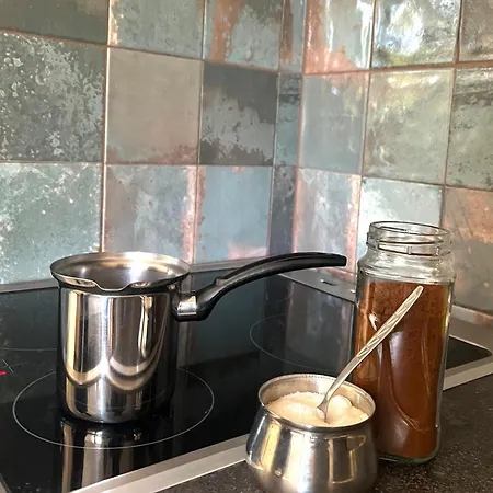 דירה Bulevar No1 נובי סאד